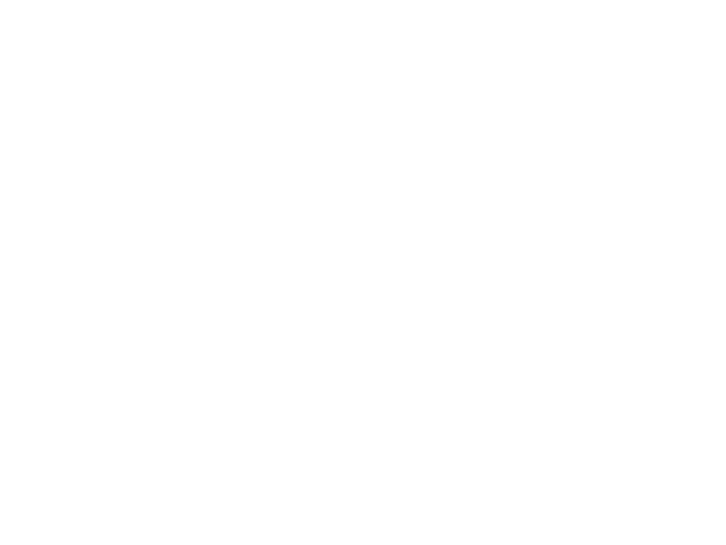 Ourofino Leilões