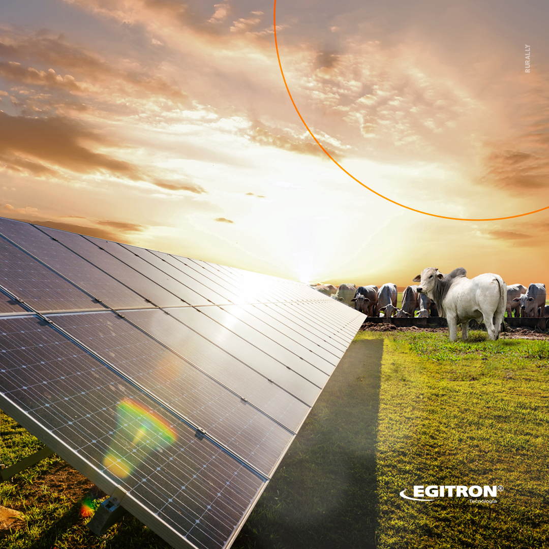 Egitron
Tecnologia