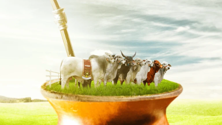 ACGZ - Associação dos Criadores Gaúchos de Zebu