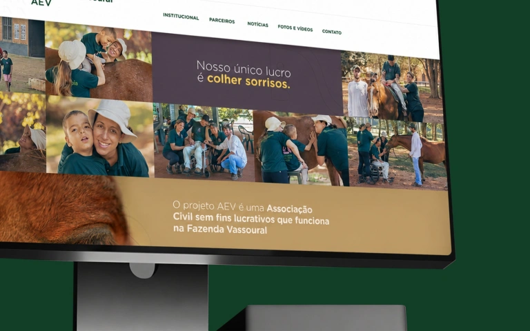 AEV - Associação de Equoterapia Vassoural